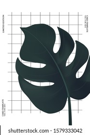 Monstera leaf on plaid texture background, modern greeting card, tropical contrast planner, brochure, summer exotic flyer,  paradise exotic template in vector.
