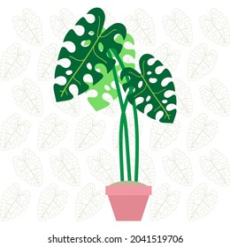 monstera leaf on pot simple flat illustration