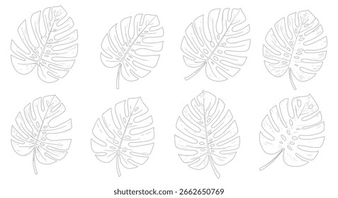Monstera Leaf Outline Pattern Tropical Plant Design Botanical Illustration silhouette