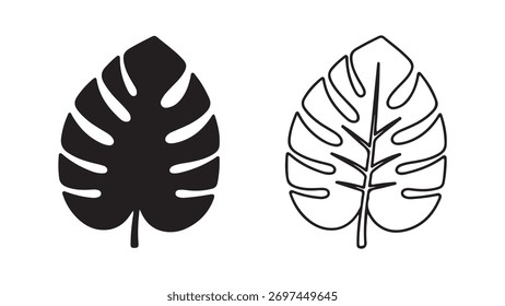 Monstera leaf outline with transparent background