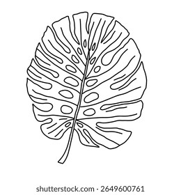 Ilustração do vetor de contorno da folha de Monstera. Selva tropical folhas de Monstera isoladas sobre fundo branco