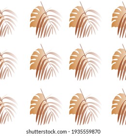 Monstera leaf and palm branch isolated on white background. Seamless botanical pattern.