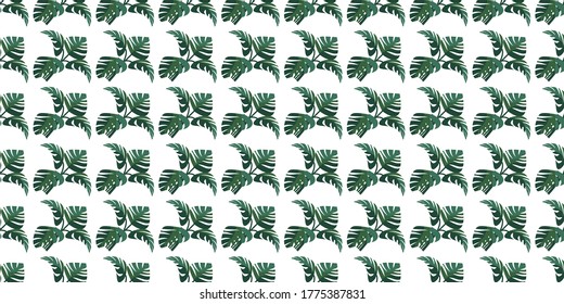 Monstera leaf pattern. Can be used for wallpaper, pattern fills, textile, web page background, surface textures, Image for advertising booklets, banners.