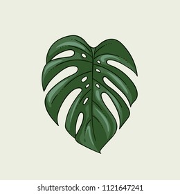 Monstera leaf plant isolated on white modern interior poster vector illustration