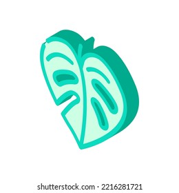 monstera leaf plant isometric icon vector. monstera leaf plant sign. isolated symbol illustration