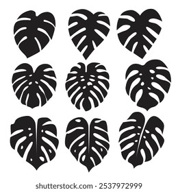 Monstera Leaf Plant Silhouette Vector Illustration