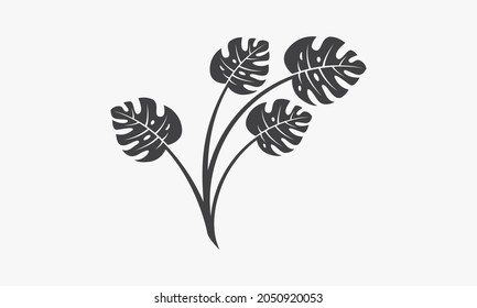 ilustración del vector de la hoja de monstera sobre fondo blanco.