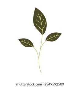 Elemento vector recolorable de hoja de monstera