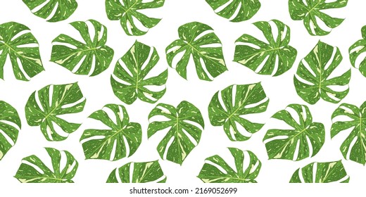 Monstera leaf seamless pattern background vector illustration