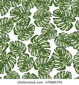 Monstera leaf seamless pattern background
