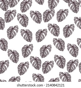 Monstera leaf seamless pattern.Vintage tropical branch in engraving style. Hand drawn texture foliage for fabric, wallpaper, textile, print, wrapping paper. Vector illustration.