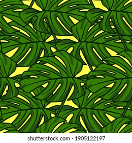 Monstera leaf seamless tropical pattern. Vector stock illustration eps 10. 