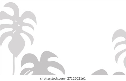 Monstera-Schattenüberlagerung auf weißem Hintergrund. Weich unscharfer Schatten von Monstera-Blättern auf weißem Hintergrund gegossen, perfekt für natürliche Overlays, moderne Layouts und subtile Design-Akzente.