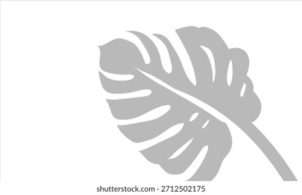 Monstera-Schattenüberlagerung auf weißem Hintergrund. Weich unscharfer Schatten von Monstera-Blättern auf weißem Hintergrund gegossen, perfekt für natürliche Overlays, moderne Layouts und subtile Design-Akzente.