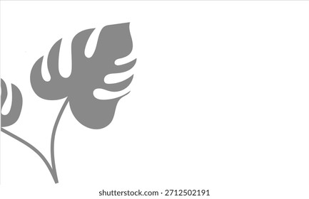 Monstera-Schattenüberlagerung auf weißem Hintergrund. Weich unscharfer Schatten von Monstera-Blättern auf weißem Hintergrund gegossen, perfekt für natürliche Overlays, moderne Layouts und subtile Design-Akzente.