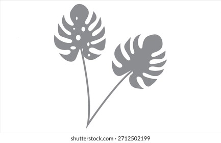 Monstera leaf shadow overlay on white background. Soft blurred shadow of monstera leaves cast on a white background, perfect for natural overlays, modern layouts, and subtle design accents.
