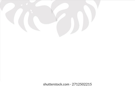 Monstera-Schattenüberlagerung auf weißem Hintergrund. Weich unscharfer Schatten von Monstera-Blättern auf weißem Hintergrund gegossen, perfekt für natürliche Overlays, moderne Layouts und subtile Design-Akzente.