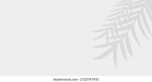 Monstera-Schattenüberlagerung auf weißem Hintergrund. Weich unscharfer Schatten von Monstera-Blättern auf weißem Hintergrund gegossen, perfekt für natürliche Overlays, moderne Layouts und subtile Design-Akzente. EPS10