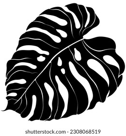 Monstera leaf silhouette. Exotical tropical jungle leaf. Black vector hand drawn illustration isolated on white. Simple minimalistic flat style