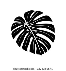 Monstera leaf silhouette tropical illustration isolated on white background. Vector botanical summer design element of exotic plant. Beautiful jungle nature outline