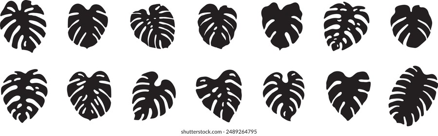 monstera leaf silhouette vector art set graphic design summer tropical leaves nature tree plant hand draw doodle cut out outline line green hawaii holiday drawing palm yoga organic decorative element