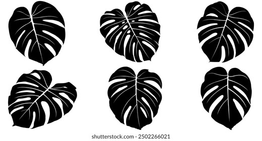 Monstera leaf silhouette vector design set