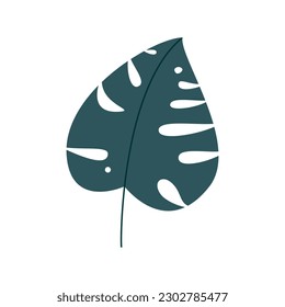 Monstera leaf  simple illustration  vector icon design element