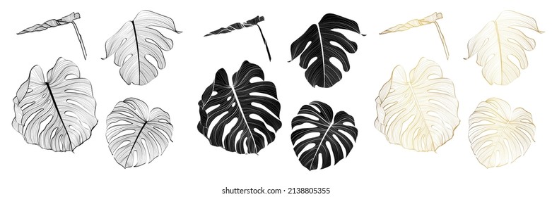 Monstera leaf sketch by hand drawing. Monstera set on white background. Golden leaves art highly detailed in line art style. Monstera is plant of tropical. Leaf for paint to pattern or wallpaper.