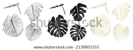 Similar – Image, Stock Photo Golden outlines tropical monstera leaf illustration isolated element