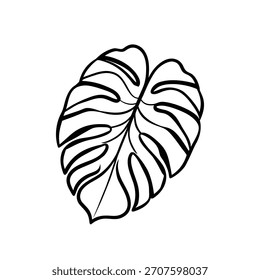 Monstera Leaf with Splits and Holes Line Drawing in Black and White – Minimal Tropical Botanical Illustration