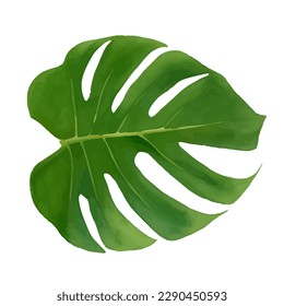 monstera leaf with style hand drawn digital painting illustration
