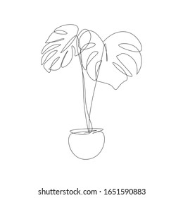 monstera leaf. tropical botanical nature lineart vector