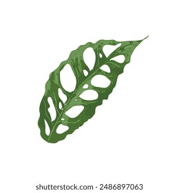 Monstera Blatt, tropische Blatt-Illustration	