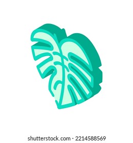monstera leaf tropical isometric icon vector. monstera leaf tropical sign. isolated symbol illustration