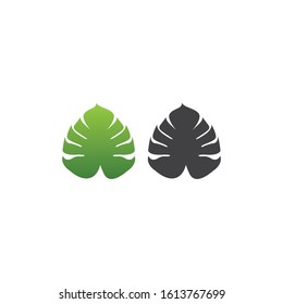 Monstera leaf, tropical leaves. Vector logo icon template