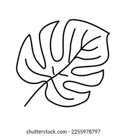 vector de icono de línea tropical hoja de monstera. signo tropical de la hoja de monstera. símbolo de contorno aislado ilustración negra