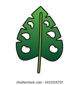 monstera leaf tropical on white background vector illustration