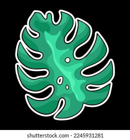 Monstera leaf, tropical palm leaf, vector design element, hand drawn