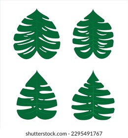 vector de conjunto de hojas tropicales monstera