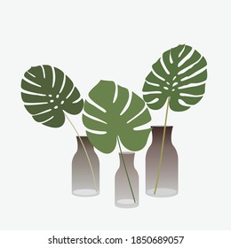 Monstera leaf in vase. Three leaves of tropical plant in glass. Flat style vector illustration. Minimal style poster design.