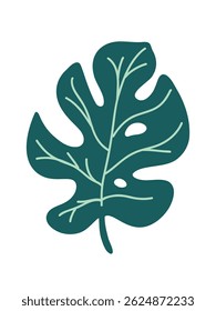 monstera leaf , vector art illustration