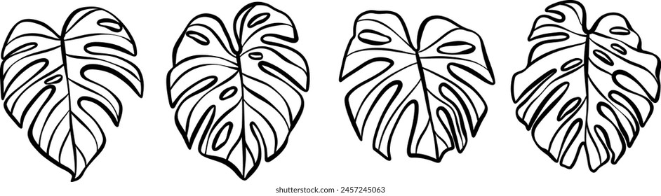 Conjunto de arte de Clip de Vector de hoja de Monstera, hojas tropicales dibujadas a mano aisladas, garabatos de arte de línea de tinta