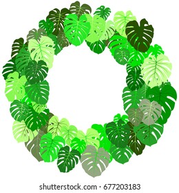Monstera leaf vector frame. Rainforest plant green tropical foliage wreath. Vector frame with place for text - card template. Philodendron jungle leaves round border summer illustration on white.