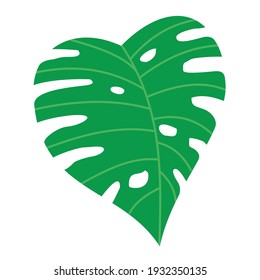 monstera leaf vector graphic illustration