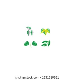 plantilla de logotipo de diseño de icono de vectores de hoja de monstera