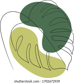 ilustración vectorial de hoja monstera. ilustración exótica de una línea