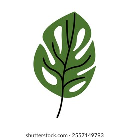 Monstera Leaf Vector Illustration. Good for Botanical and Nature Art.