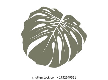 Monstera leaf vector illustration isolated on white. Exotic tropical green leaves. Minimalist shape, simple style.