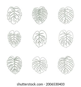 Monstera Leaf Vector One Line art