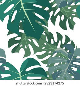 Monstera leaf vector pattern. Its graceful curves and lush green tones bring a touch of exotic serenity to any design. Can be used as a textile print, for wrapping paper design.